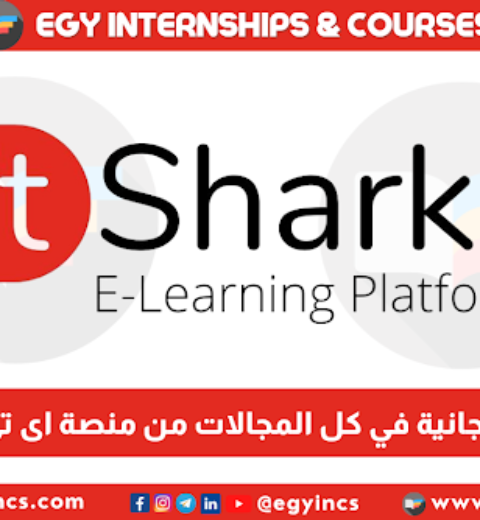 تدريب متخصص في دعم – زوهو في شركة بنيريم Pinerium Zoho Support Specialist Internship