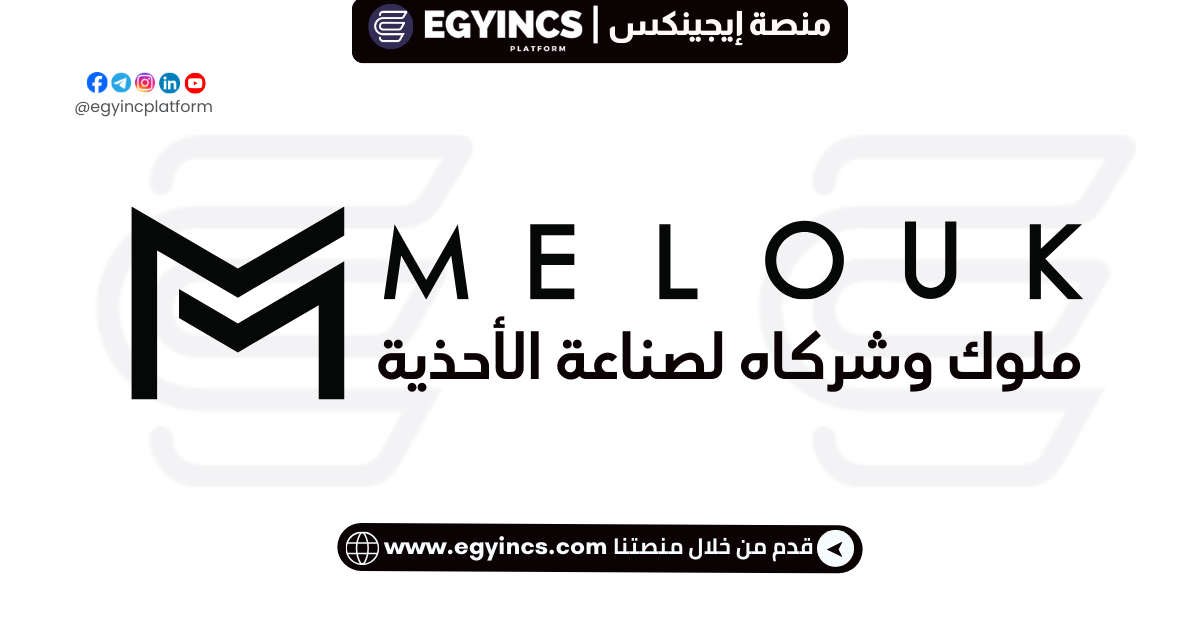 وظيفة محاسب خزينة في شركة ملوك وشركاه لصناعة الأحذية Treasury Accountant at Malouk