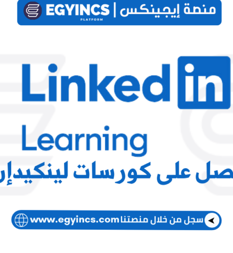 فرصة تدريب وتطوع في منصة ايجينكس Egyincs Platform Internship & Volunteer Program