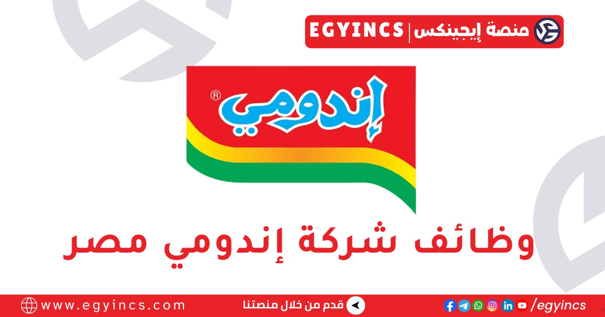 وظيفة محاسب فى شركة اندومي Indomie Egypt Accountant job