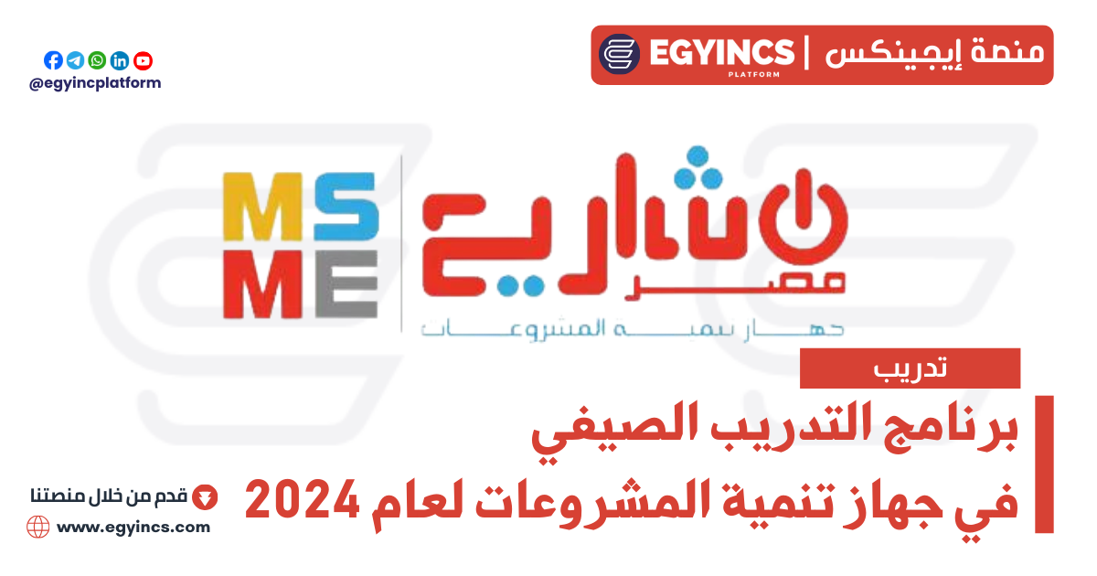 برنامج التدريب الصيفي في جهاز تنمية المشروعات المتوسطة والصغيرة ومتناهية الصغر لعام 2024 MSMEDAEG Summer Internship