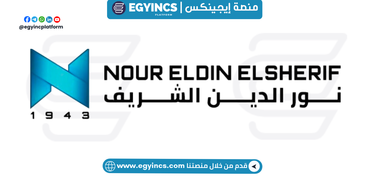 وظيفة محاسب خزينة في شركة نور الدين شريف لتجارة السيارات Nour Eldin Elsherif for Trading vehicles Treasury Accountant Job