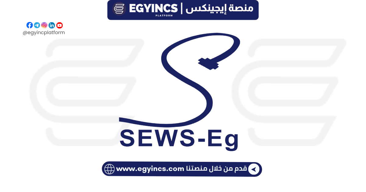 وظيفة استقبال في شركة إس إي وايرينج سيستمز إيجيبت SE Wiring Systems Egypt Receptionist Job