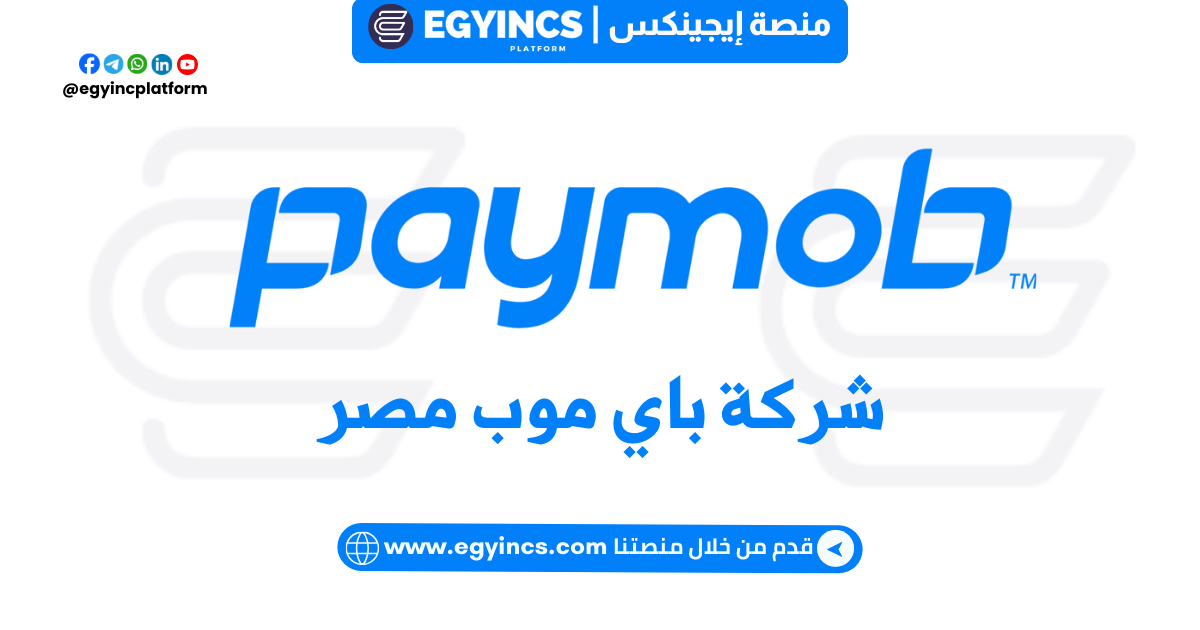 وظيفة مندوب المبيعات المباشر في شركة باي موب Paymob Solutions Direct Sales Representative Job