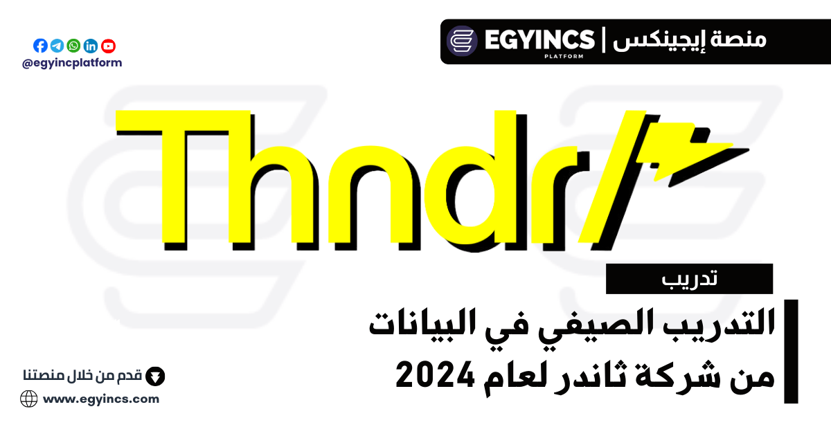 التدريب الصيفي في البيانات من شركة ثاندر لعام 2024 thndr Data Rise Internship