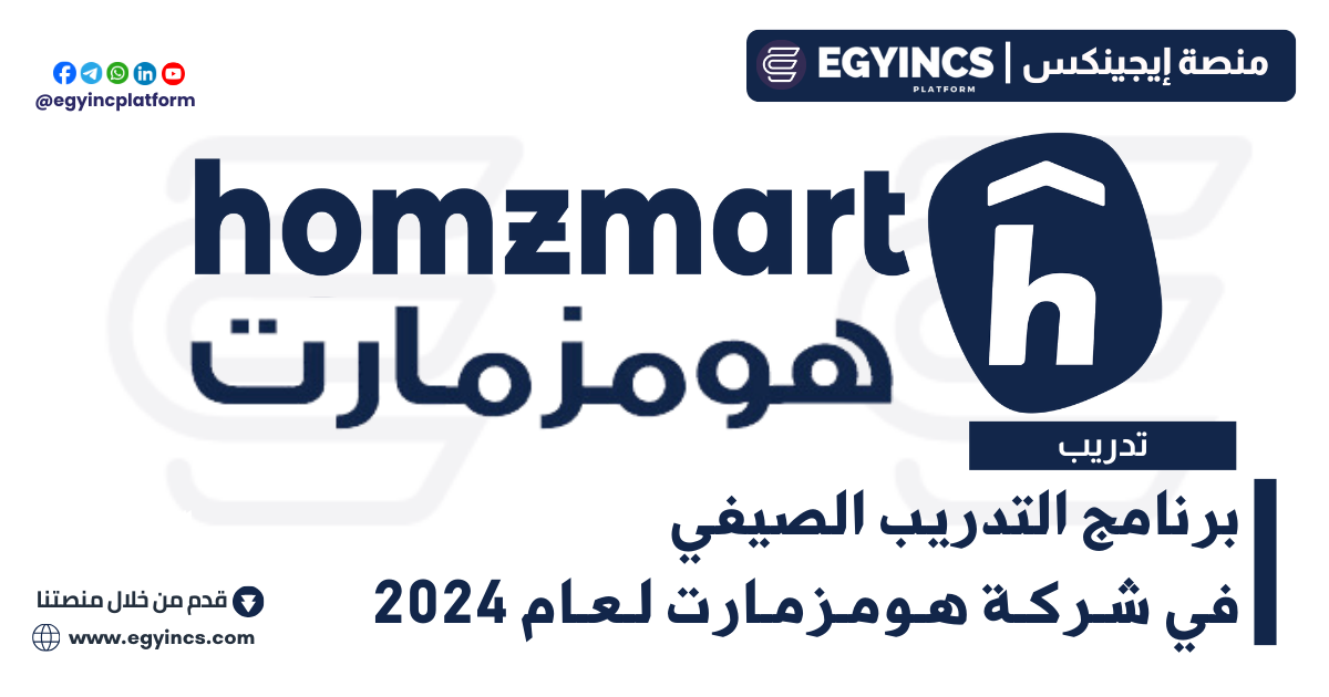 برنامج التدريب الصيفي في شركة هومزمارت لعام 2024 Homzmart HOMZIN Summer Internship Program