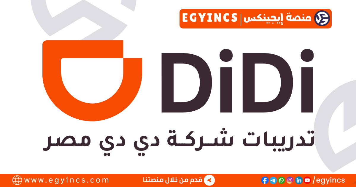 تدريب باك أوفيس في خدمة العملاء من شركة دي دي مصر Didi Egypt Backoffice Internship in CX Job