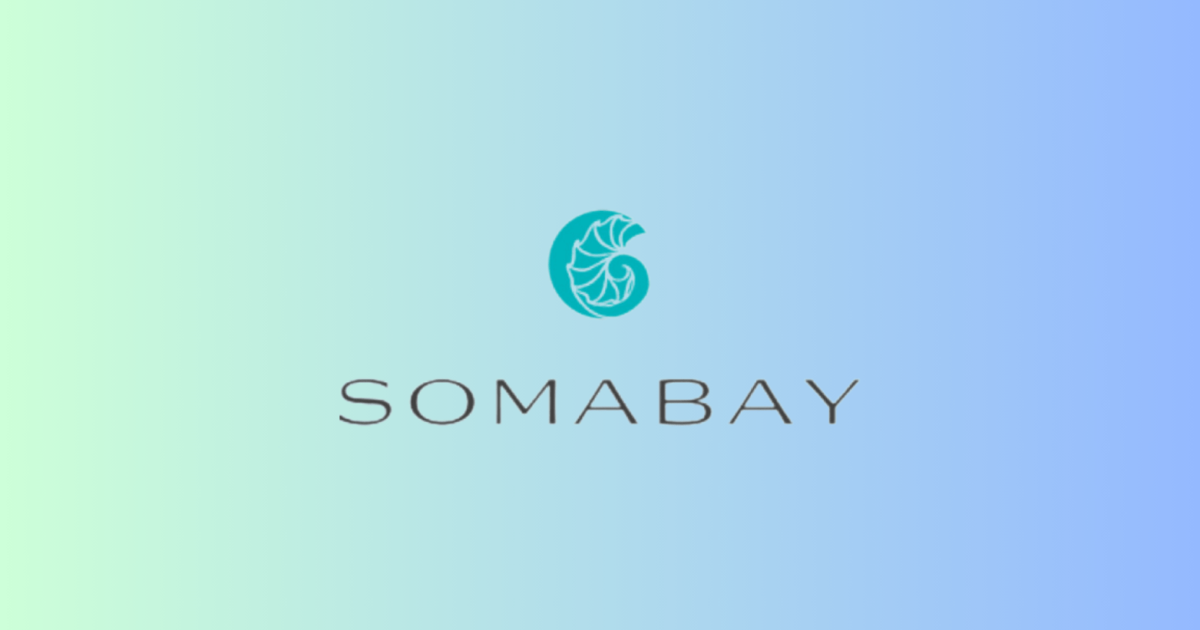 وظيفة محاسب حسابات قبض بدون خبرة في شركة سوماباي Somabay AR Accountant job