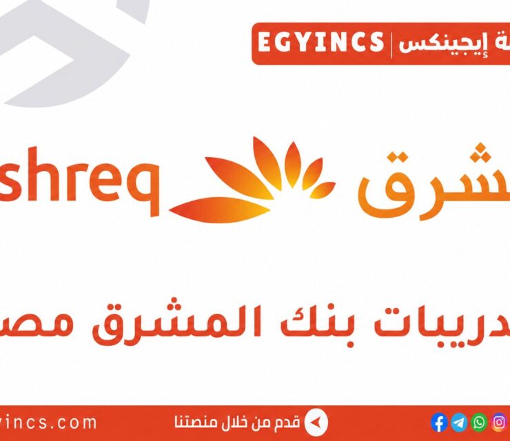 برنامج شهادة التميز المتقدمة من بنك المشرق Mashreq Egypt ACE Graduate Program
