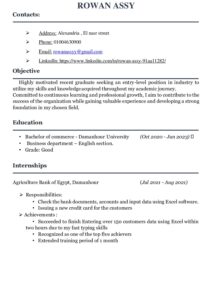 My Resume pdf منصة إيجينكس Egyincs Platform