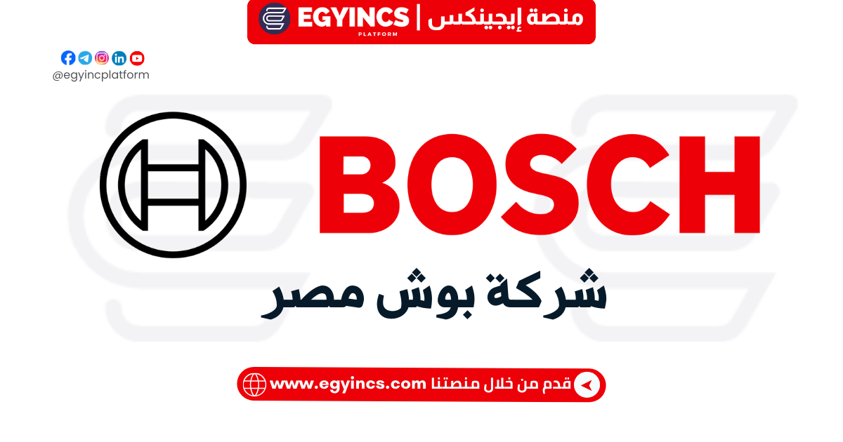 وظيفة محاسب في شركة بوش مصر Bosch Egypt Accountant Job