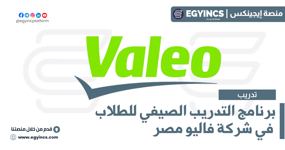 التدريب الصيفي في شركة فاليو Valeo Egypt Internship Program 2024