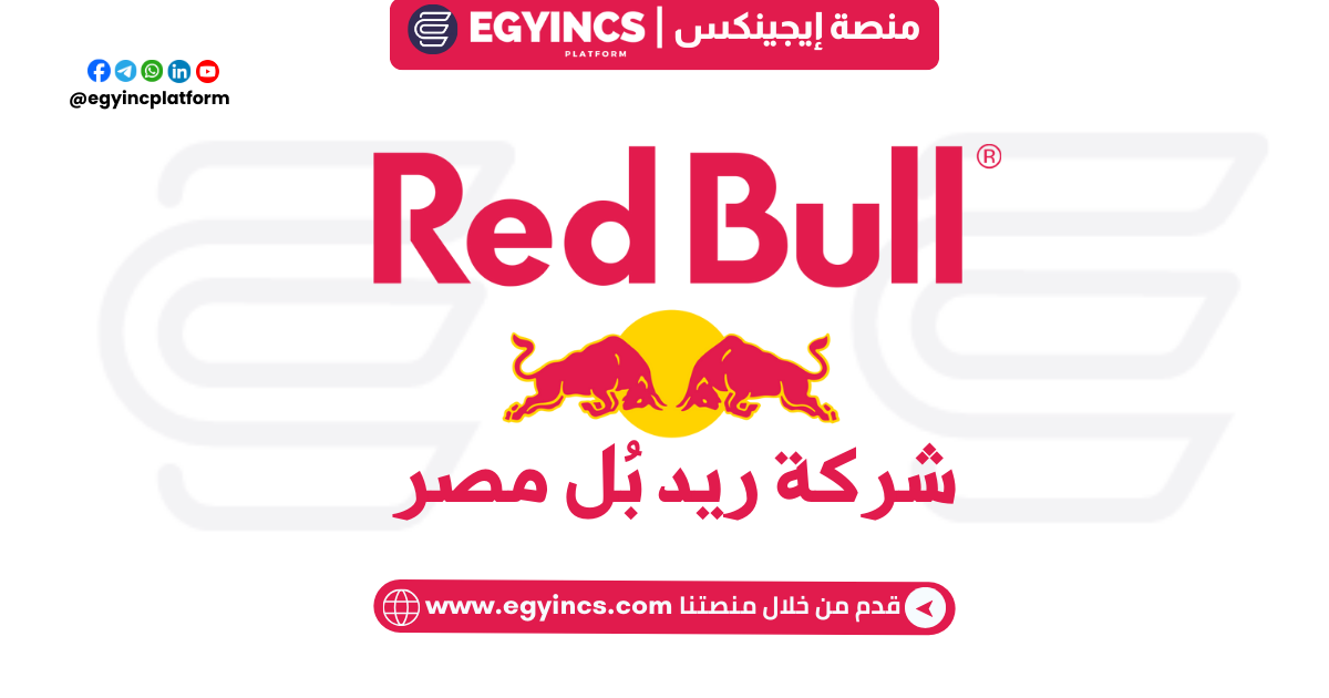 تدريب مطور قناة الدافع في شركة ريد بل مصر Red Bull Egypt Graduate Program Build a Bull: Off Premise Impulse Channel Developer Trainee 