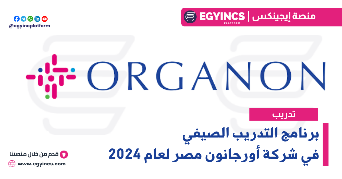 برنامج التدريب الصيفي في شركة أورجانون مصر لعام 2024 Organon Egypt Future Talent Commercial Summer Internship