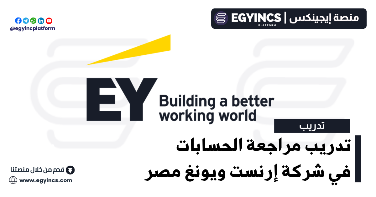 تدريب مراجعة الحسابات في شركة إرنست ويونغ مصر Ernst & Young EY Cairo Assurance Audit Graduate Program