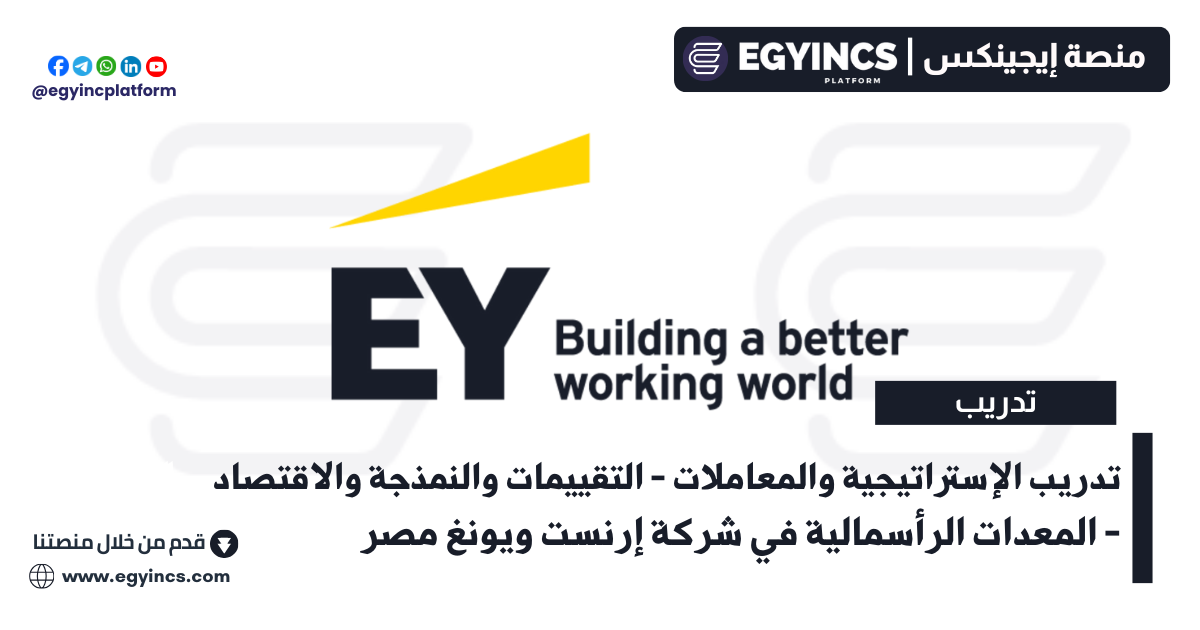 تدريب الإستراتيجية والمعاملات – التقييمات والنمذجة والاقتصاد – المعدات الرأسمالية في شركة إرنست ويونغ مصر Ernst & Young EY Cairo Strategy and Transaction  Valuations, Modeling & Economics Capital Equipment Graduate