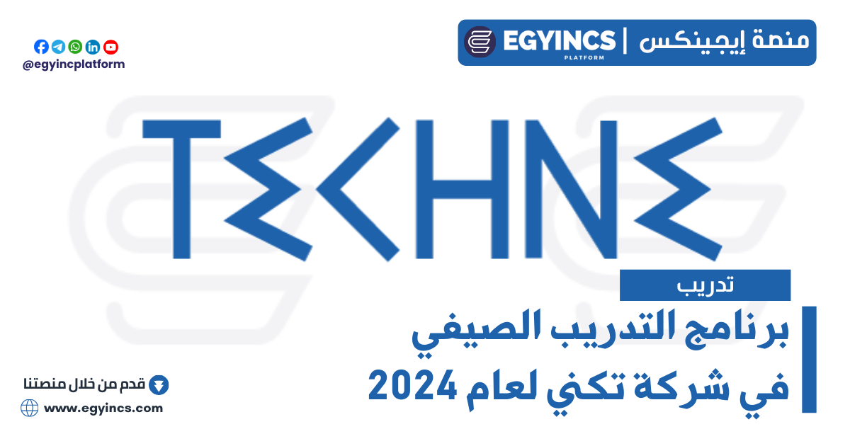 برنامج التدريب الصيفي في شركة تكني لعام 2024 Techne Summit Alexandria Summer Internship