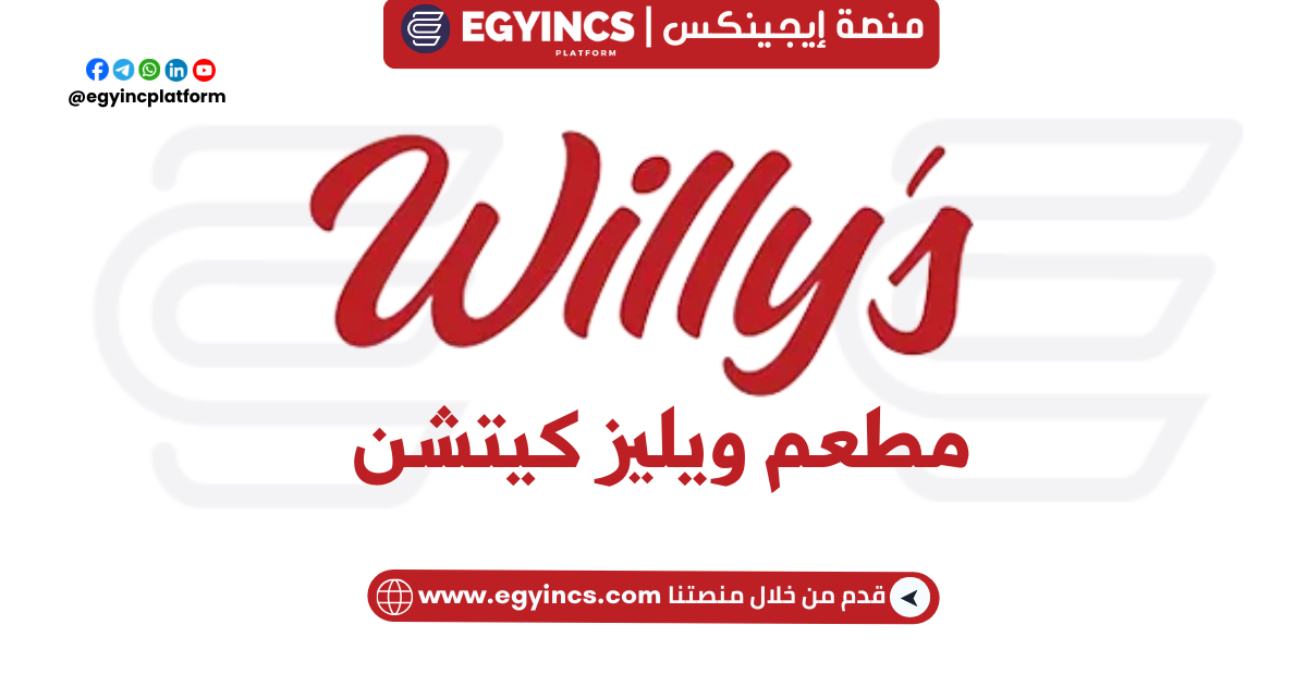 وظيفة محاسب مبتدئ في مطعم ويليز كيتشن willys kitchen Egypt Junior Accountant Job