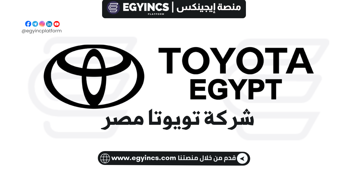 وظيفة محاسب في شركة تويوتا مصر Accounts Payable Accountant Toyota Egypt Job