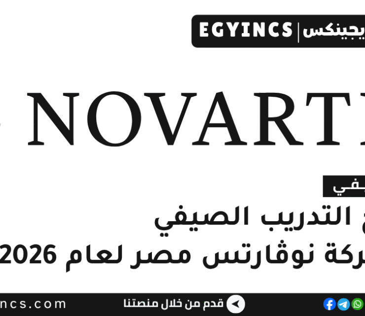 التدريب الصيفي في شركة نوڤارتس مصر 2026 Novartis Egypt Summer Internship
