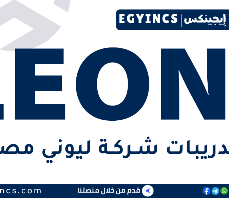 تدريب مهندس عمليات إنتاج في شركة ليوني مصر LEONI Wiring System Egypt Production Process Engineer Trainee