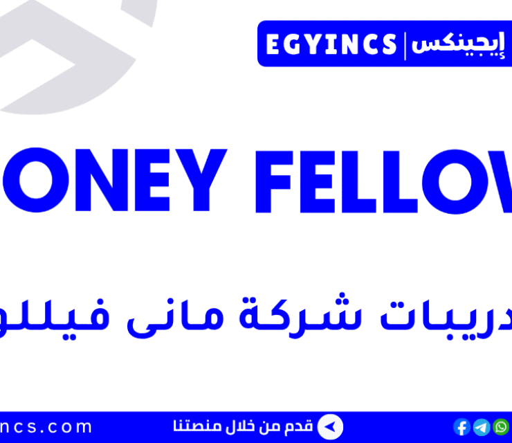 تدريب صانع فيديوهات قصيرة في شركة مانى فيللوز Money Fellows Reels Creator Internship