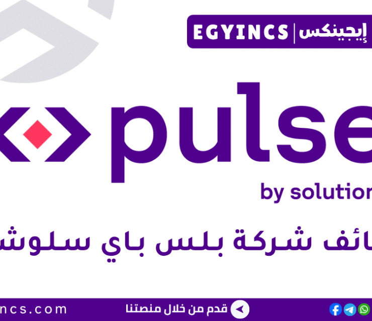 بلس باي سلوشنز (جيزة سيستمز سابقًا) pulse by solutions