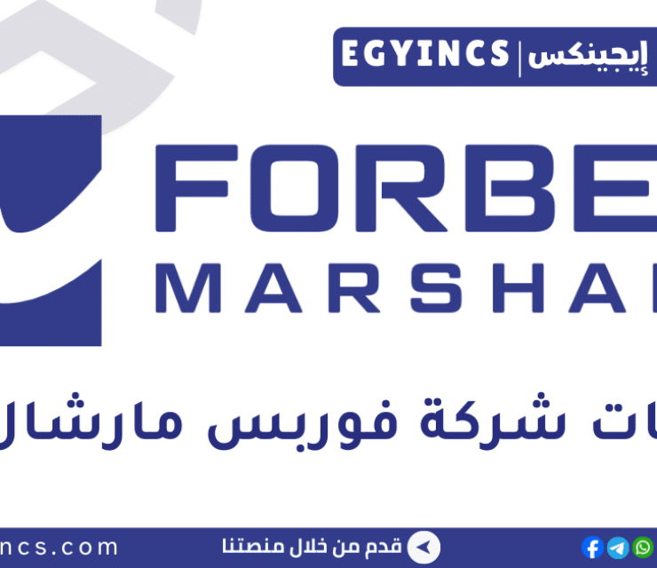 تدريب الهندسة في شركة فوربس مارشال مصر Forbes Marshall Egypt Graduate Engineering Trainee