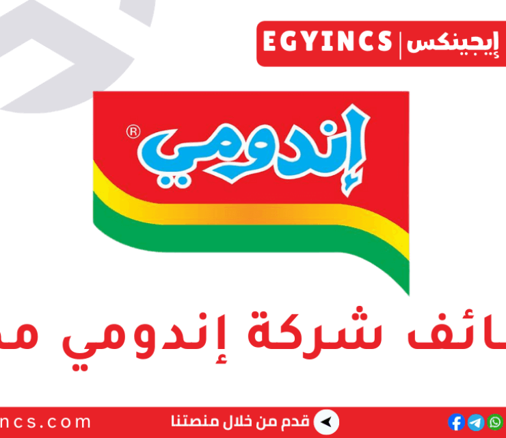 وظيفة مهندس كهرباء فى شركة اندومي مصر Indomie Egypt Electrical Engineer job