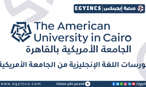 الصورة المصغرة للدورة
