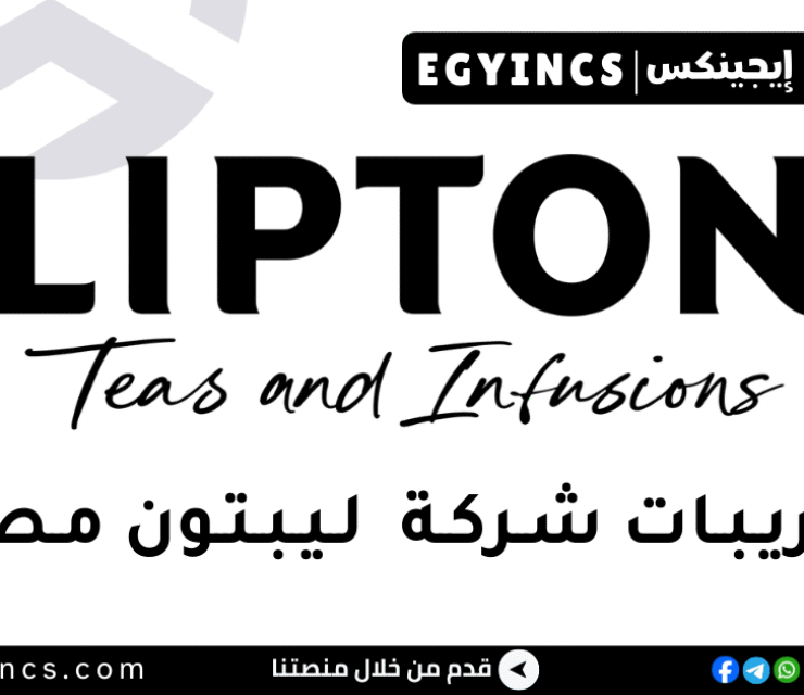 التدريب الصيفي لشركة ليبتون مصر 2026 Lipton Egypt Summer Internship Program