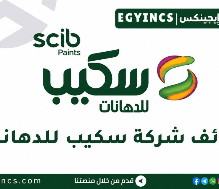وظيفة محاسب خزينة في شركة سكيب للدهانات Scib Paints Treasury Accountant Job
