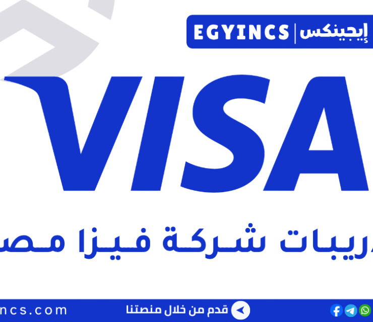 التدريب الصيفي في شركة فيزا مصر 2026 Visa Egypt Consulting Internship