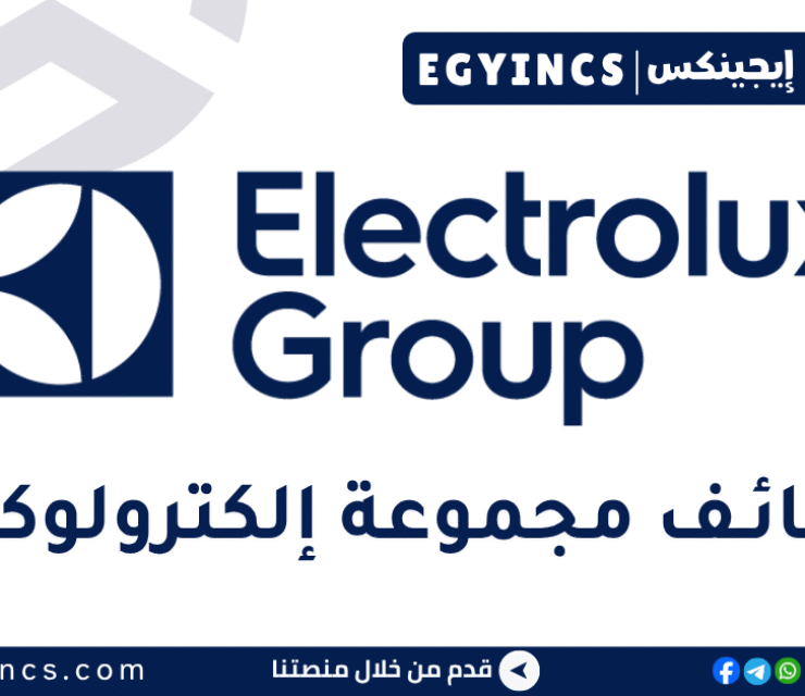 مجموعة إلكترولوكس Electrolux Group