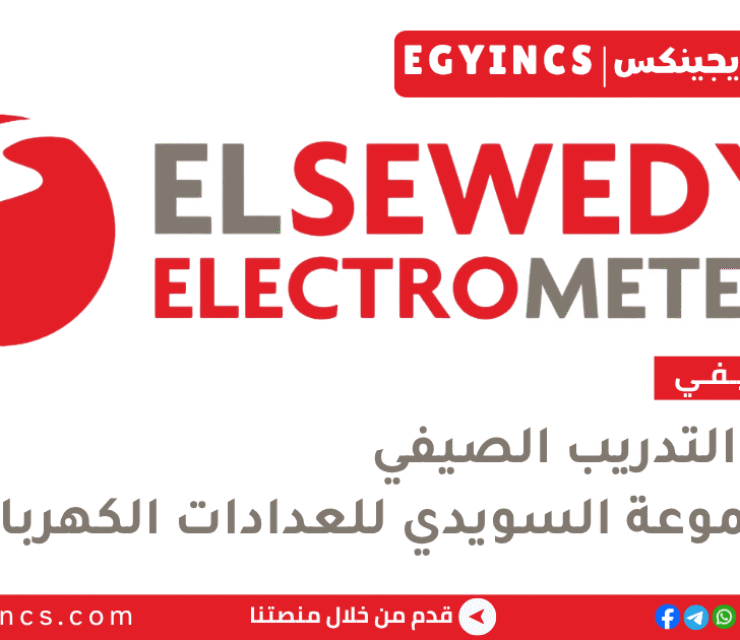التدريب الصيفي في مجموعة السويدي للعدادات الكهربائية 2026 El Sewedy Electrometer Group Summer Internship program