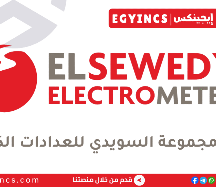 مجموعة السويدي للعدادات الكهربائية El Sewedy Electrometer Group 