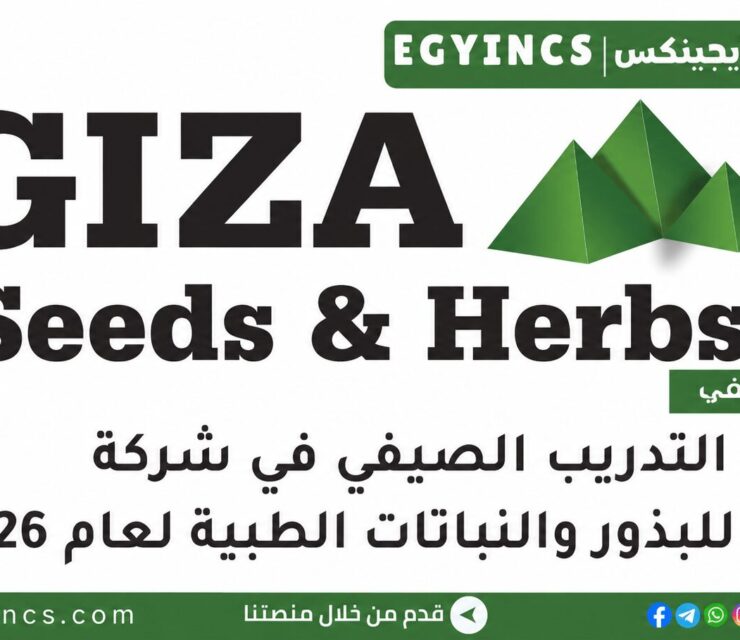 التدريب الصيفي في شركة الجيزة للبذور والنباتات الطبية 2026 Giza Seeds & Herbs Summer Internship