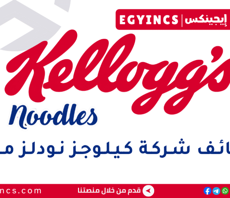 كيلوجز نودلز مصر Kellogg’s Noodles Egypt