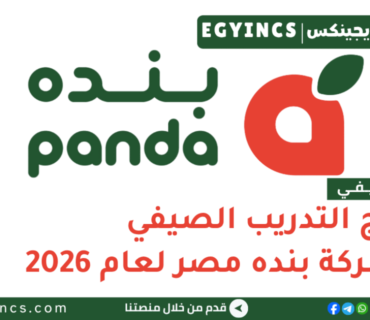 التدريب الصيفي في شركة بنده مصر 2026 Panda Egypt Summer Internship