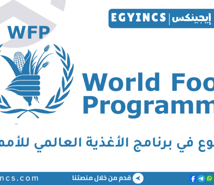فرصة تطوع حلول رقمية في برنامج الأغذية العالمي للأمم المتحدة World Food Programme Digital Solutions Volunteer