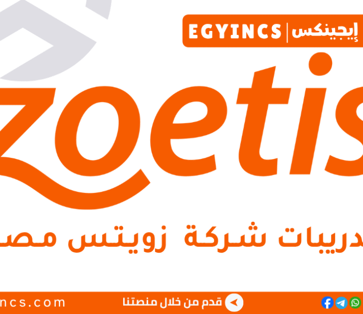 التدريب الصيفي في الشؤون التنظيمية من شركة زويتس مصر 2026 Zoetis Egypt Regulatory Affairs Summer Internship