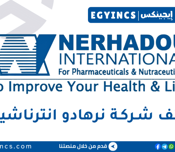نرهادو انترناشيونال Nerhadou International