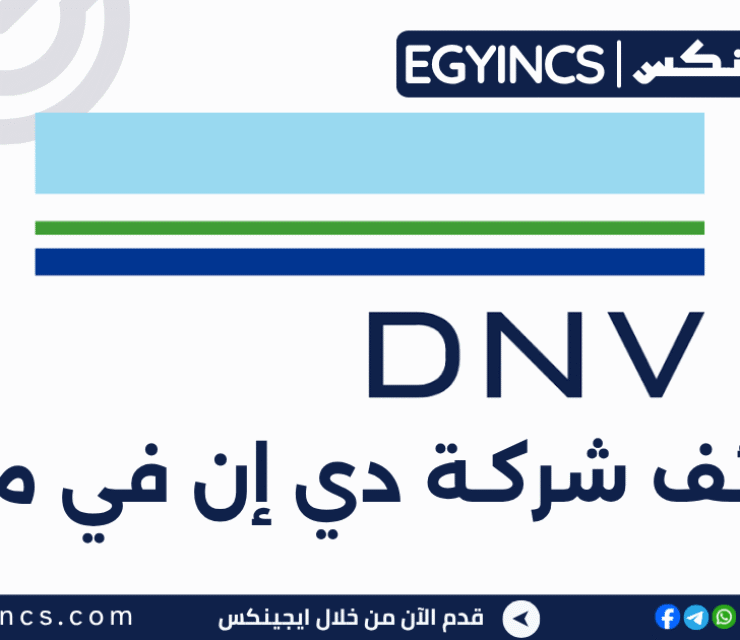 دي إن في مصر DNV Egypt